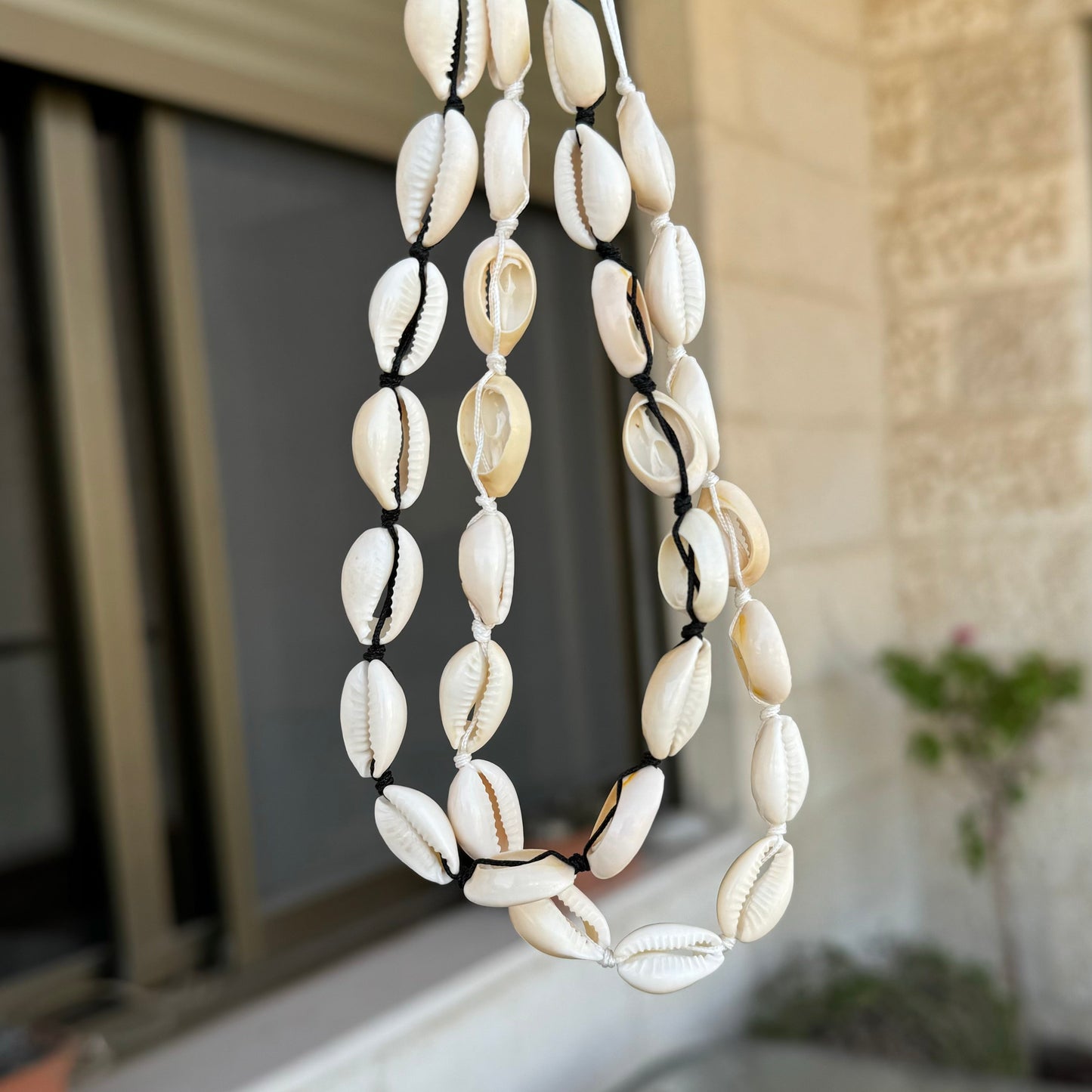 Seashell Necklace